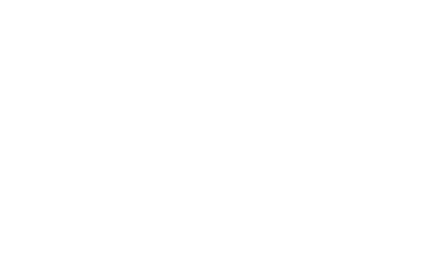 Papaya Slice